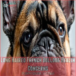 Long Haired French Bulldog Health Concerns