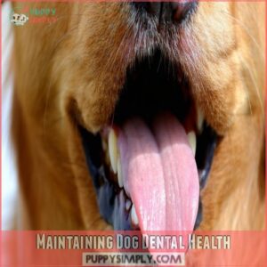 Maintaining Dog Dental Health