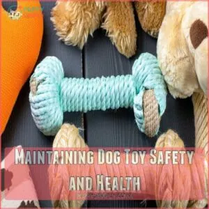 Maintaining Dog Toy Safety and Health