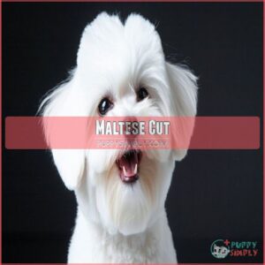 Maltese Cut