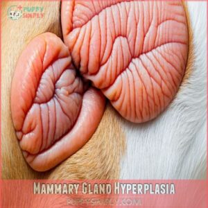 Mammary Gland Hyperplasia