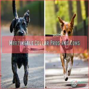 Martingale Collar Pros and Cons