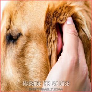 Massage The Ear Base