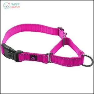 Max and Neo Nylon Martingale