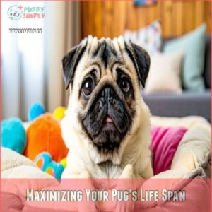 Maximizing Your Pug