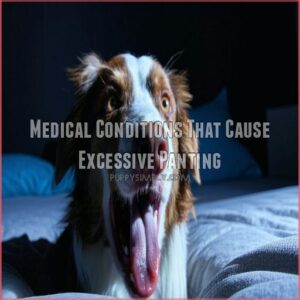 Medical Conditions That Cause Excessive Panting