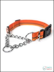 Mighty Paw Martingale Dog Collar