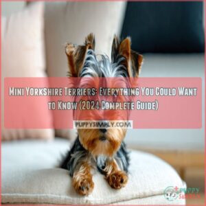 mini yorkshire terriers everything you could want to know