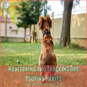 Monitoring and Tracking Dog Pooping Habits