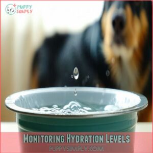 Monitoring Hydration Levels