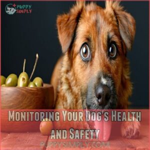 Monitoring Your Dog