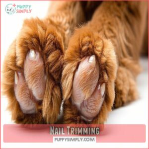 Nail Trimming