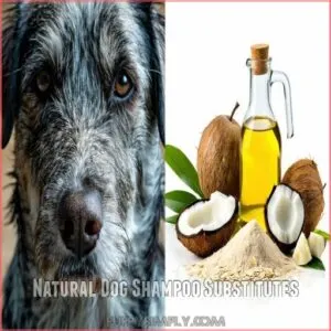 Natural Dog Shampoo Substitutes