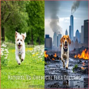 Natural Vs. Chemical Flea Collars