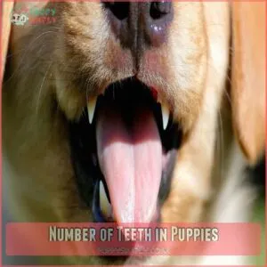 Number of Teeth in Puppies