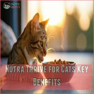 Nutra Thrive for Cats Key Benefits