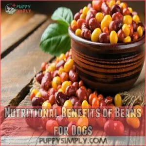 Nutritional Benefits of Beans for Dogs