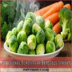 Nutritional Benefits of Brussels Sprouts