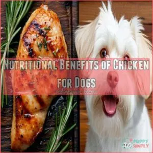 Nutritional Benefits of Chicken for Dogs