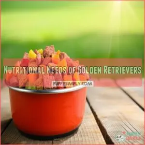 Nutritional Needs of Golden Retrievers