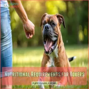 Nutritional Requirements for Boxers