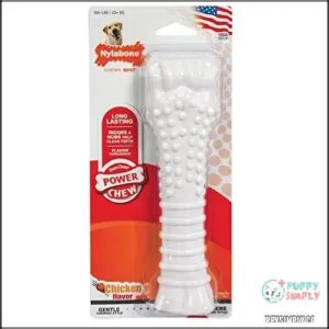 Nylabone Power Chew Textured Souper