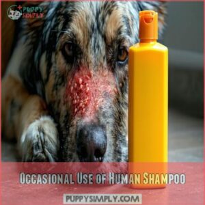 Occasional Use of Human Shampoo