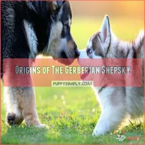 Origins of The Gerberian Shepsky