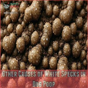 Other Causes of White Specks in Dog Poop