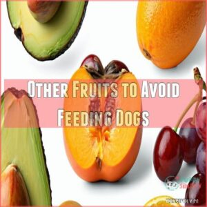 Other Fruits to Avoid Feeding Dogs