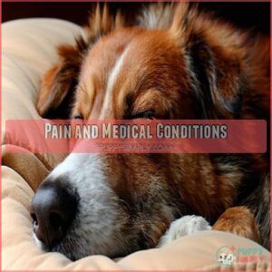 Pain and Medical Conditions