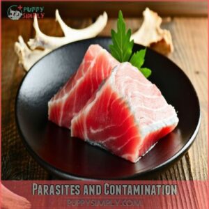 Parasites and Contamination