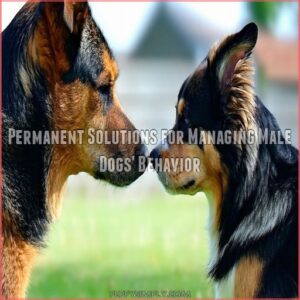 Permanent Solutions for Managing Male Dogs