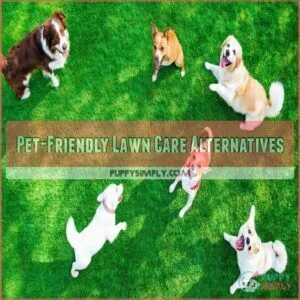 Pet-Friendly Lawn Care Alternatives