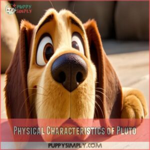 Physical Characteristics of Pluto