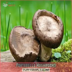 Portabella Mushrooms