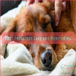 Post-Induction Care and Monitoring