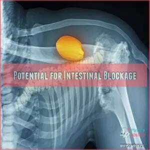 Potential for Intestinal Blockage