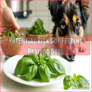 Potential Risks of Feeding Basil to Dogs