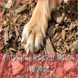 Potential Risks of Mulch to Dogs