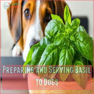 Preparing and Serving Basil to Dogs