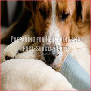 Preparing for Neutering and Post-Surgery Care