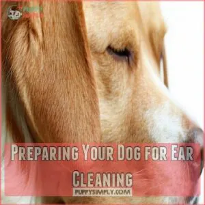 Preparing Your Dog for Ear Cleaning