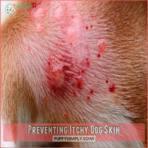 Preventing Itchy Dog Skin