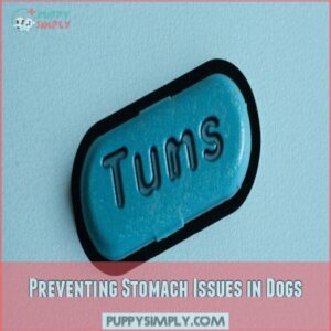 Preventing Stomach Issues in Dogs