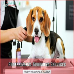 Professional Grooming Services