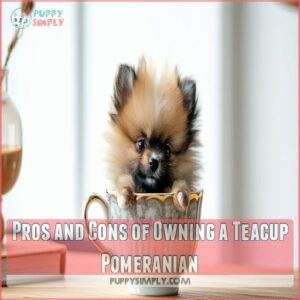 Pros and Cons of Owning a Teacup Pomeranian