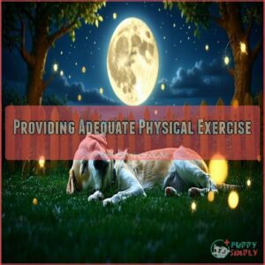 Providing Adequate Physical Exercise