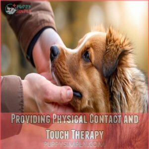 Providing Physical Contact and Touch Therapy