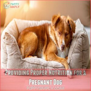 Providing Proper Nutrition for a Pregnant Dog